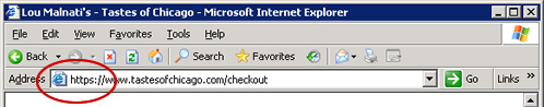 Internet Explorer 浏览器上的安全地址栏