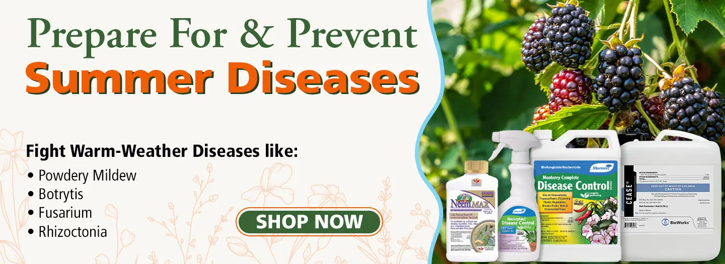 Summer Disease Control