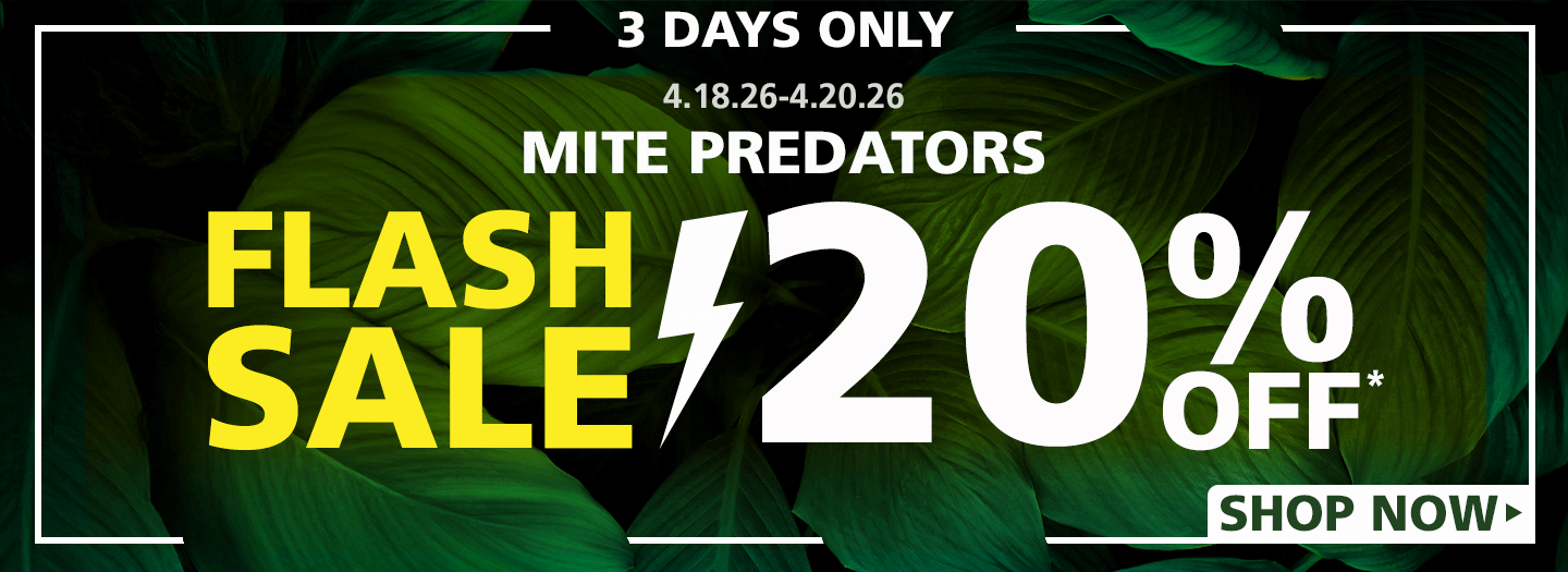 Mite Predator Flash Sale