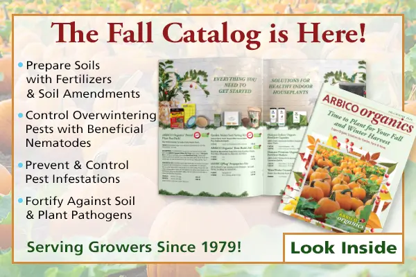 Fall Winter 2026 Catalog