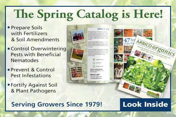 Spring Catalog