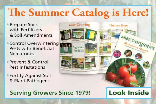 Summer 2026 Catalog