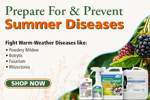 Summer Disease Control