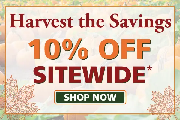 Sitewide Sale Prime Days