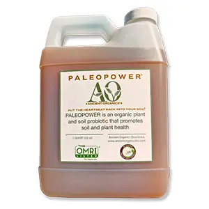 Paleo Power&reg;