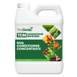 TCM Consortium Microbes