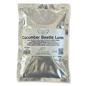 Cucumber Beetle Lures