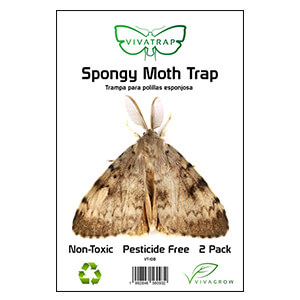 Spongy Moth Trap & Lure