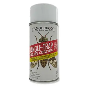 Tanglefoot&reg; Tangle-Trap&reg; Sticky Aerosol Spray