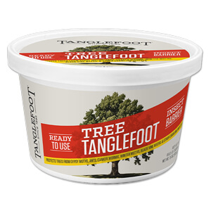Tree Tanglefoot® Insect Barrier
