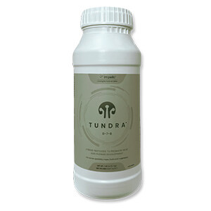 Tundra&trade;