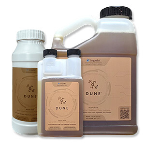 Dune&trade;