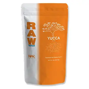 RAW Yucca 
