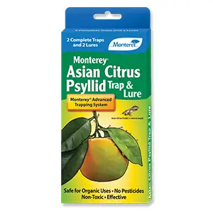 Monterey Asian Citrus Psyllid Trap & Lure