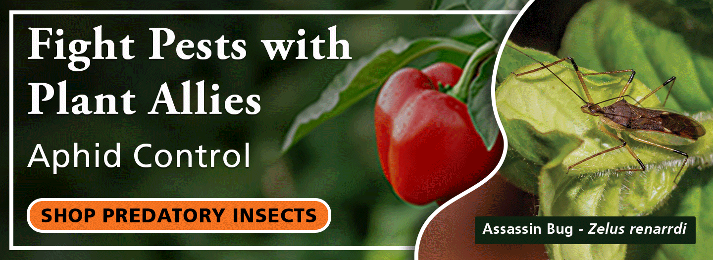 ARBICO Organics Biological Pest Control