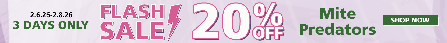 Mite Predator Flash Sale