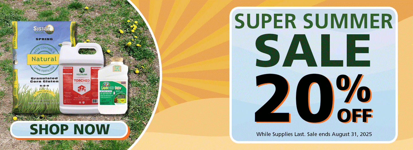 August Super Summer Sale