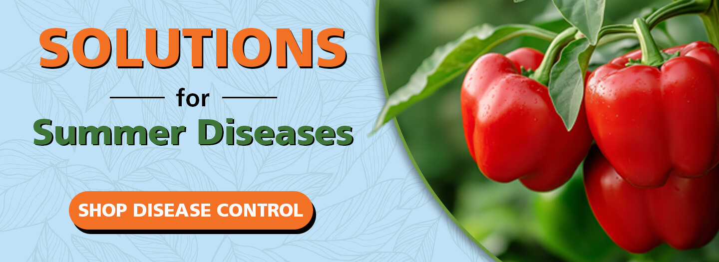 Summer Disease Control