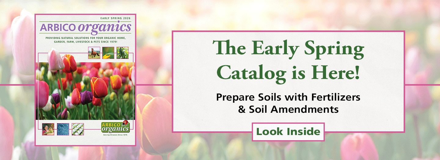 Early Spring Catalog