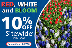 Independence Day Sale