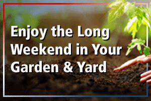 Memorial Day Savings
