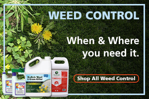 Natural Weed Control