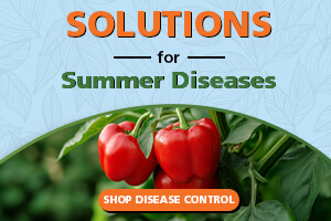 Summer Disease Control