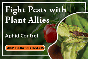 ARBICO Organics Biological Pest Control