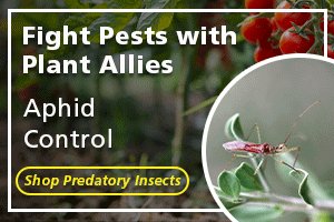 Biological Control of Plant Pests