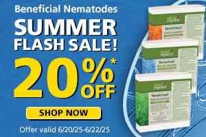 Beneficial Nematode Flash Sale