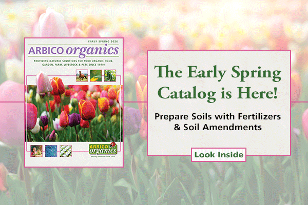 Early Spring Catalog