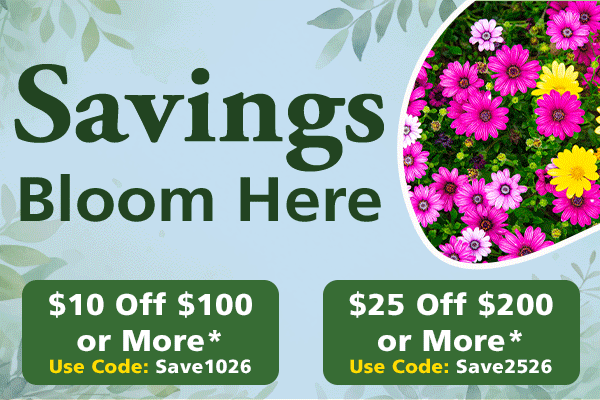 savings bloom here