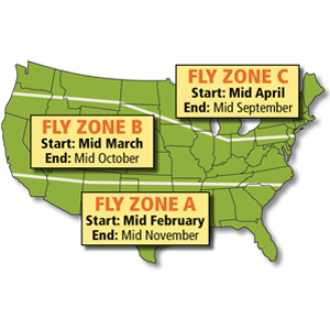 How To Build Your Fly Control Program