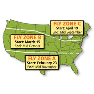 How To Build Your Fly Control Program