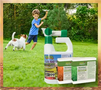 Flea Control