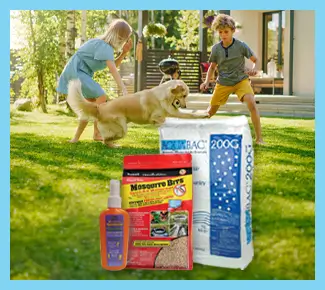 Mosquito Control