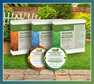 Beneficial Nematodes