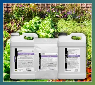 Bioinsecticides