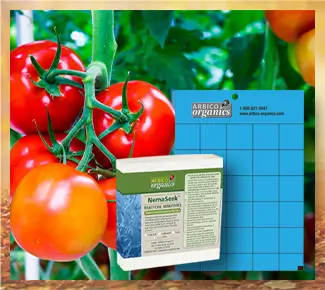 Thrips Control