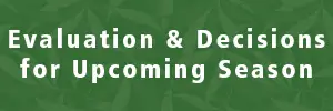 Evaluation & Decisions