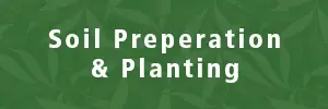 Soil Prep & Planting