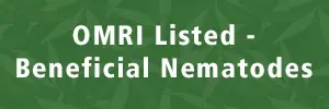 OMRI Listed Beneficial Nematodes