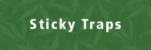 Sticky Traps