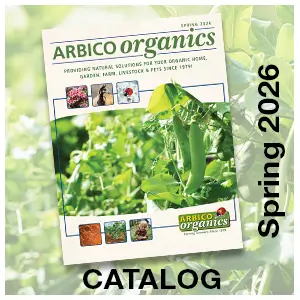 Spring 2026 Catalog