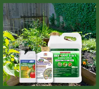 Insecticides