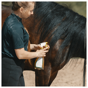 Fly Sprays - Horses & Livestock