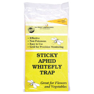 VivaTrap! Clear Sticky Trap & Stink Bug Combination Lure at