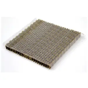 Green Lacewing larval frame