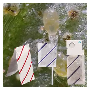 N californicus Sachets