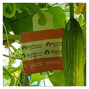 Phytoseiulus persimilis PLUS Sachets